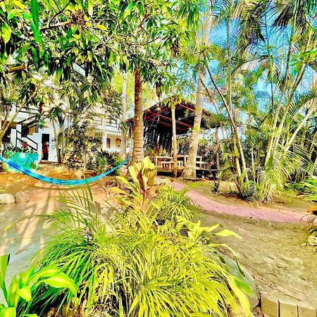 Hotel El Eden Escondido à Puerto Escondido  Extérieur photo
